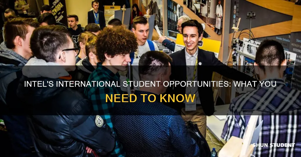 does intel have any opportunity for international students