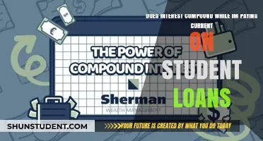 Student Loans: Do I Need to Worry About Interest Compounding?