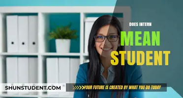 Interns: Students or Employees?