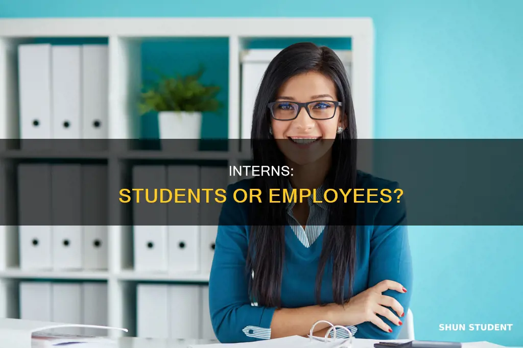 does intern mean student