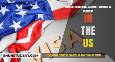 International Students: US Residents or Not?