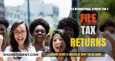 E-Filing Taxes: International Students' Guide to Returns
