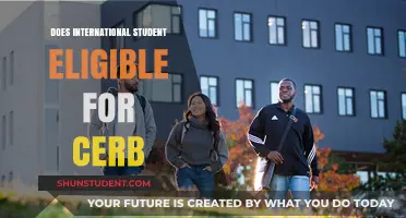 International Students: CERB Eligibility Explained