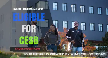 CESB Eligibility: International Students