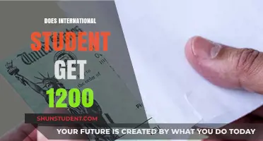 How International Students Can Access the $1200 Grant