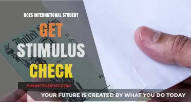 Stimulus Checks: Are International Students Eligible?