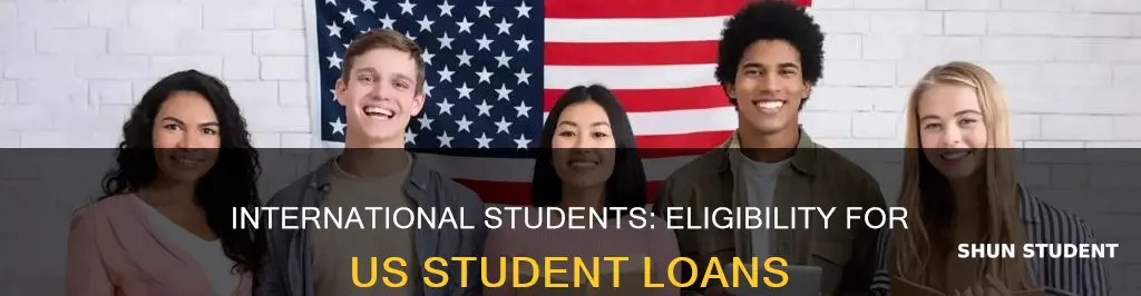 does international student get student loan usa