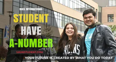 Understanding A-Numbers: International Students' Guide