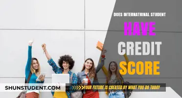 Credit Scores: International Students' Financial Identity