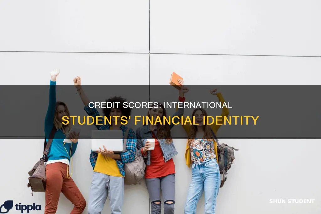 does international student have credit score