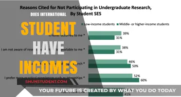 International Students: Can They Earn an Income?