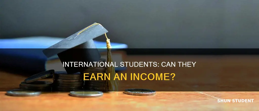 does international student have incomes