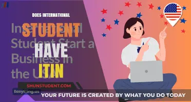 ITINs: International Students' Tax Identification Numbers