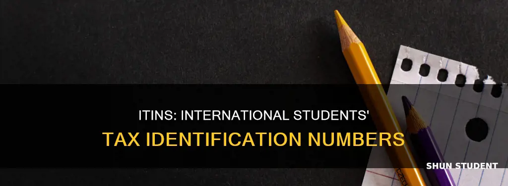 does international student have itin