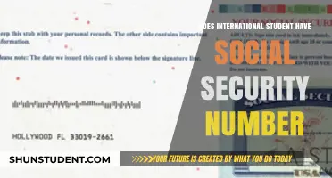 Social Security Numbers: International Students' Guide