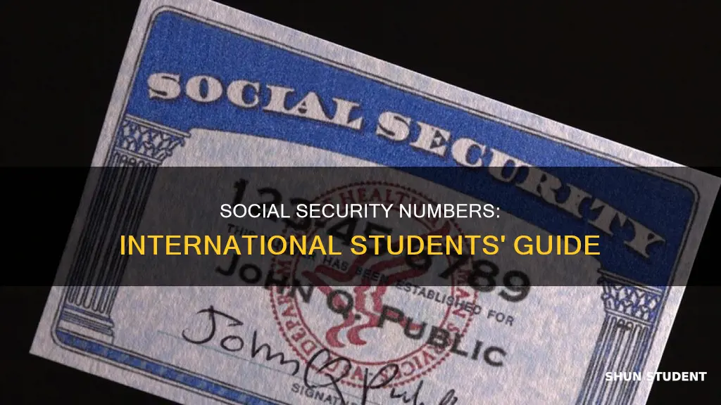 does international student have social security number