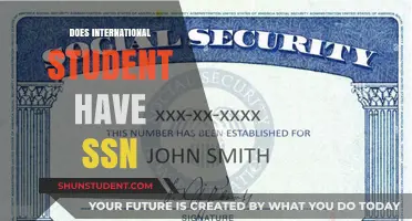 International Students: SSN Eligibility and Alternatives