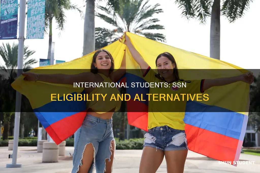 does international student have ssn