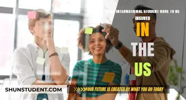 International Students: Do You Need US Health Insurance?