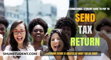 International Students: Tax Return Filing and Payment Obligations
