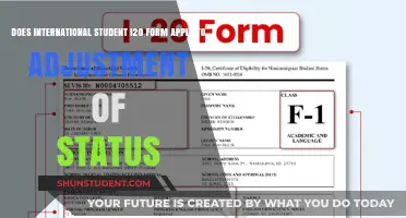 I-20 Form: Adjustment of Status for International Students