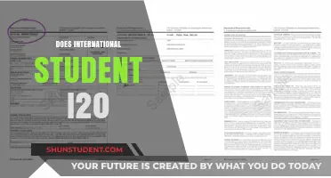 I-20 Form: What International Students Need to Know