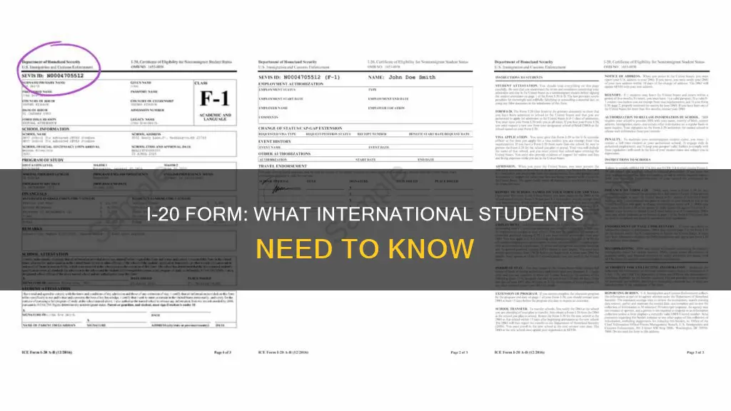 does international student i20