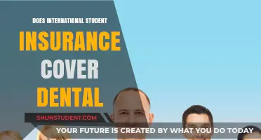 International Student Dental Insurance: What's Covered?
