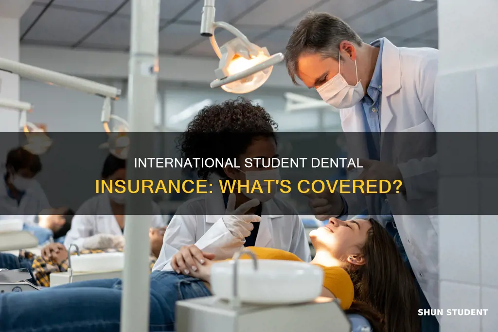 does international student insurance cover dental