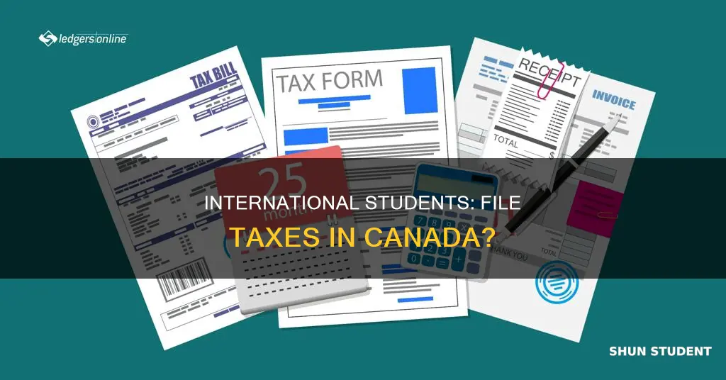 does international student need to file tax return in canada
