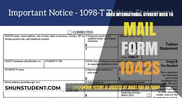Mailing Form 1042-S: International Student's Guide