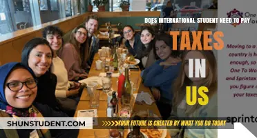 International Students: Paying US Taxes?