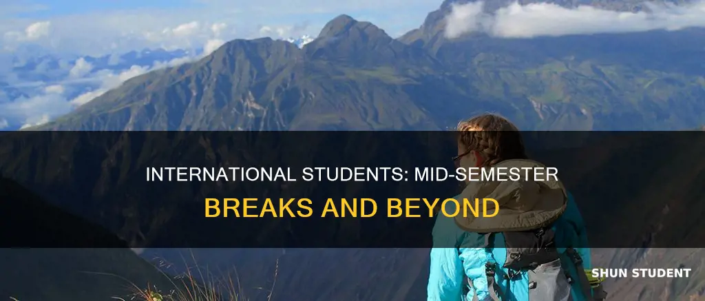 does international student take second half term in semester