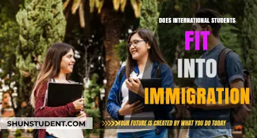 International Students: Immigration's Missing Piece