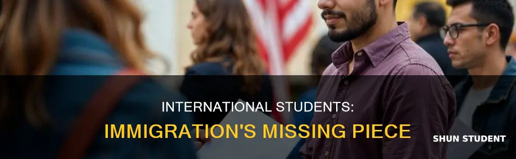 does international students fit into immigration