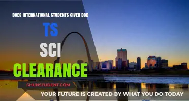 International Students: Can They Get TS/SCI Clearance?