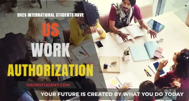 International Students: Work Authorization in the US?