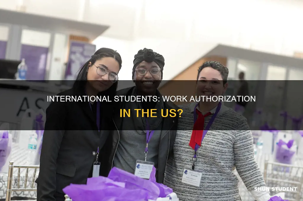does international students have us work authorization