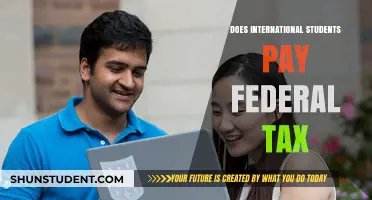 International Students and Federal Taxes: Who Pays?