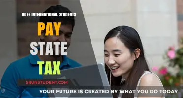 International Students and State Tax: Who Pays?