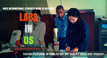 International Students: Working in US National Labs
