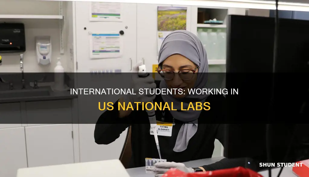 does international students work in national labs in us
