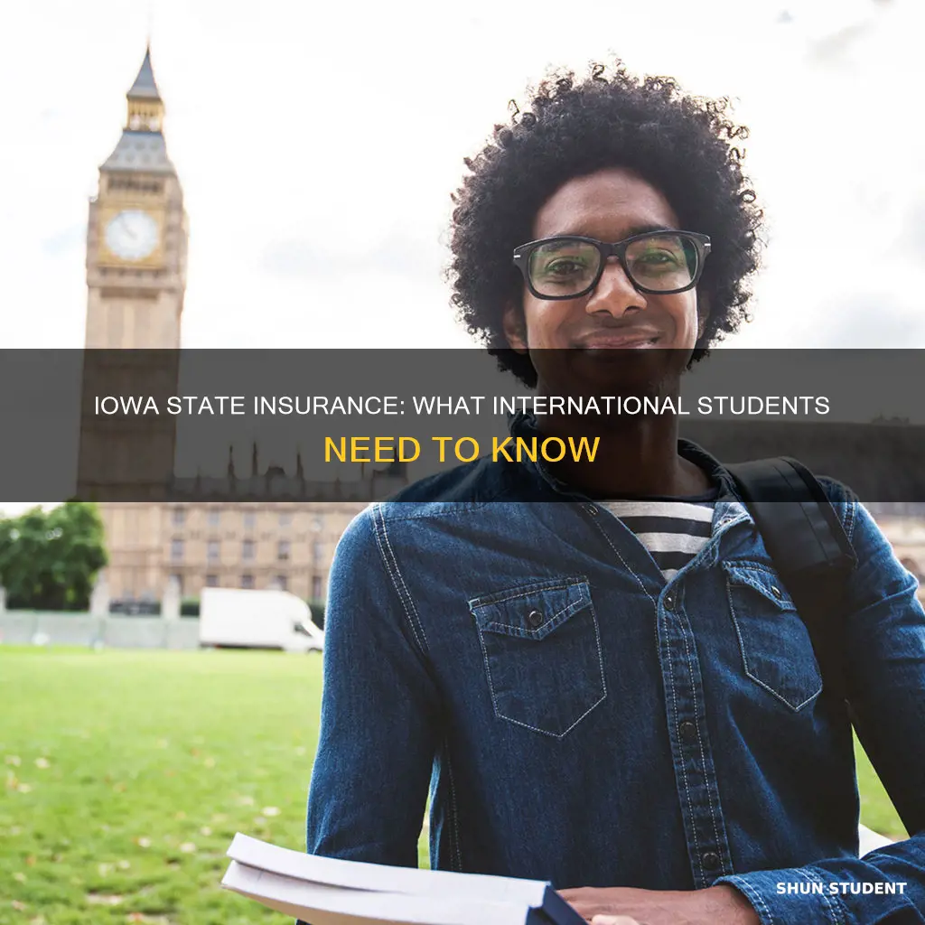 does iowa state give insurance to international students