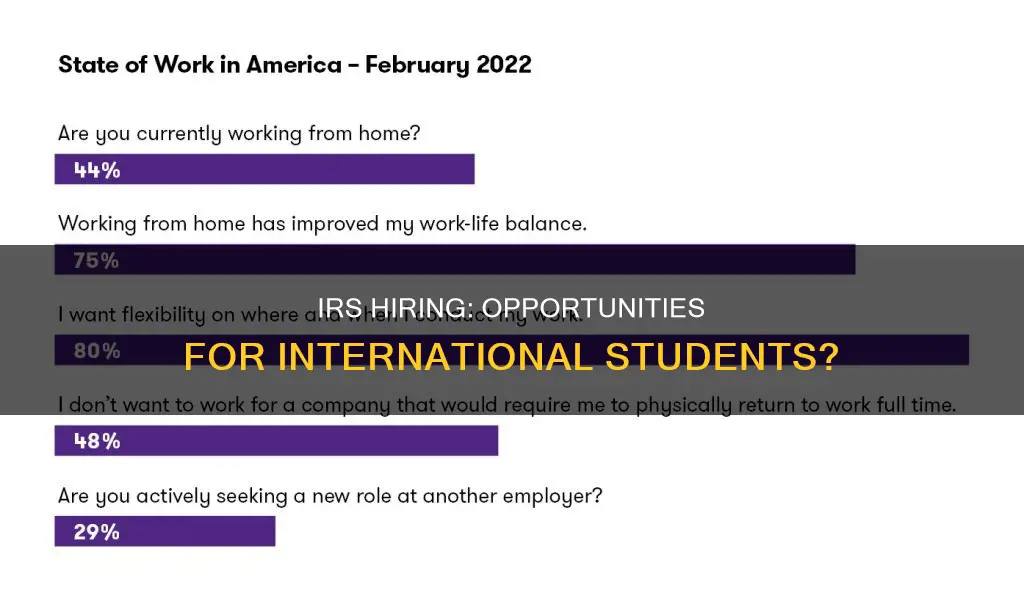 does irs hire international students