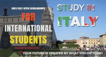 International Student Scholarships: What Italy Offers