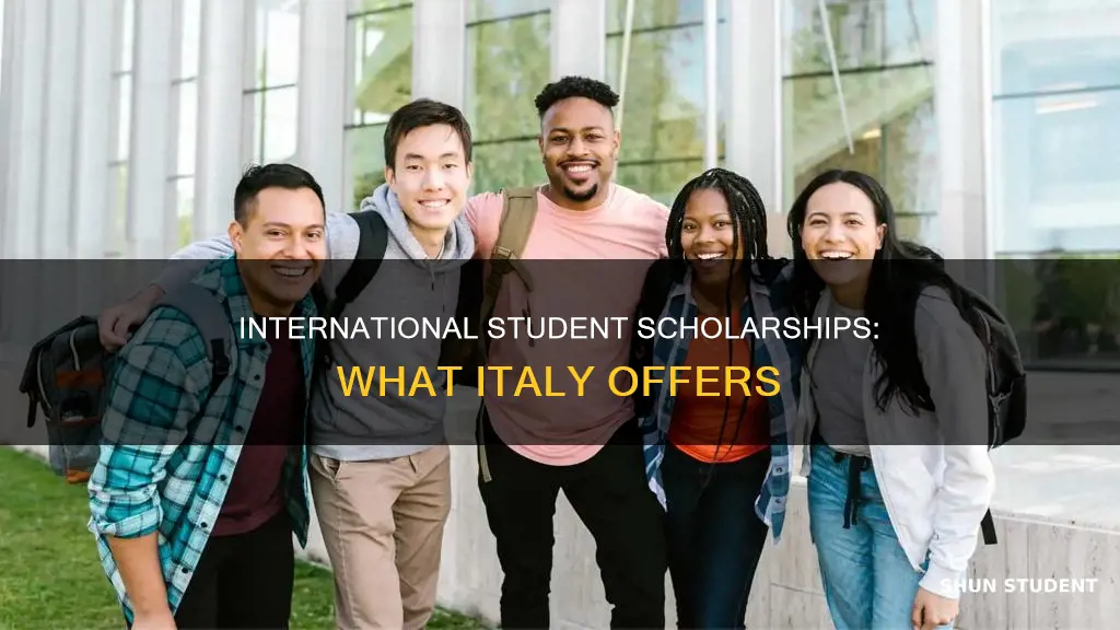 does italy offer scholarships for international students