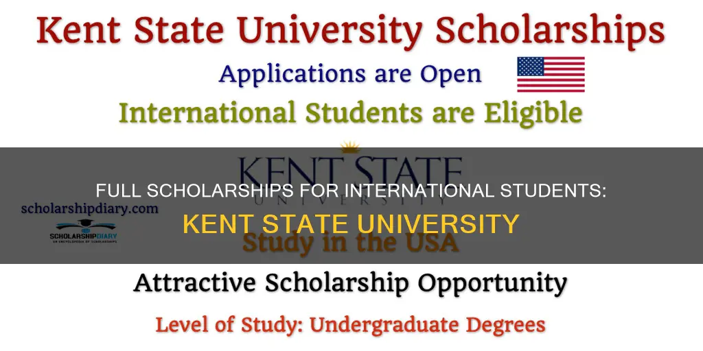 does kent state university offer full scholarships for international students