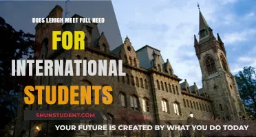 Lehigh's Financial Aid for International Students: Meeting Full Need?