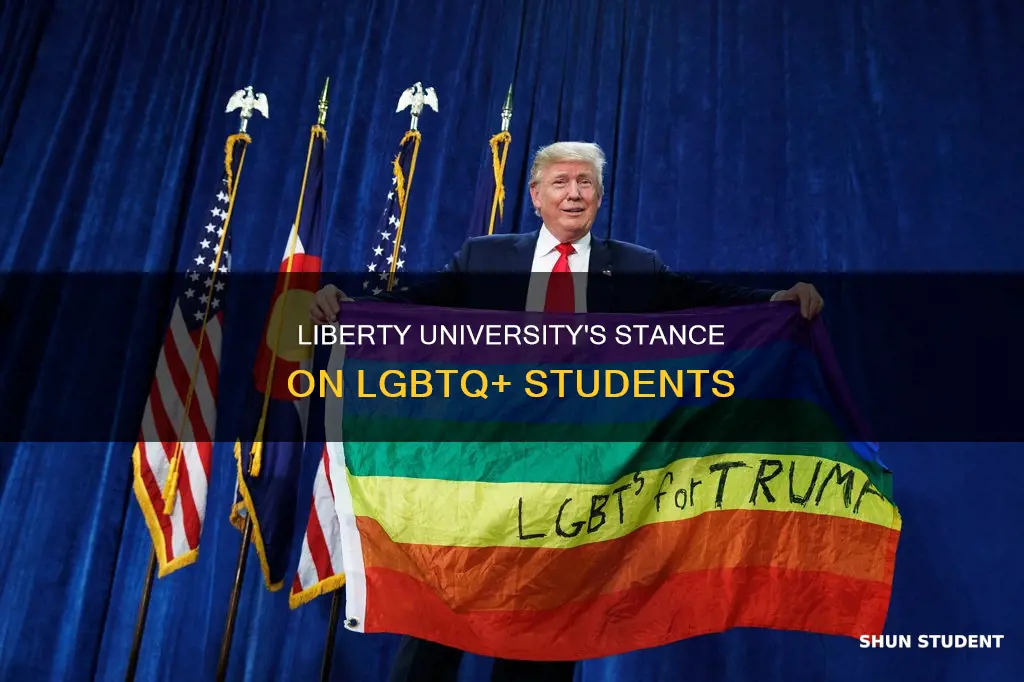 does liberty university allow gay students