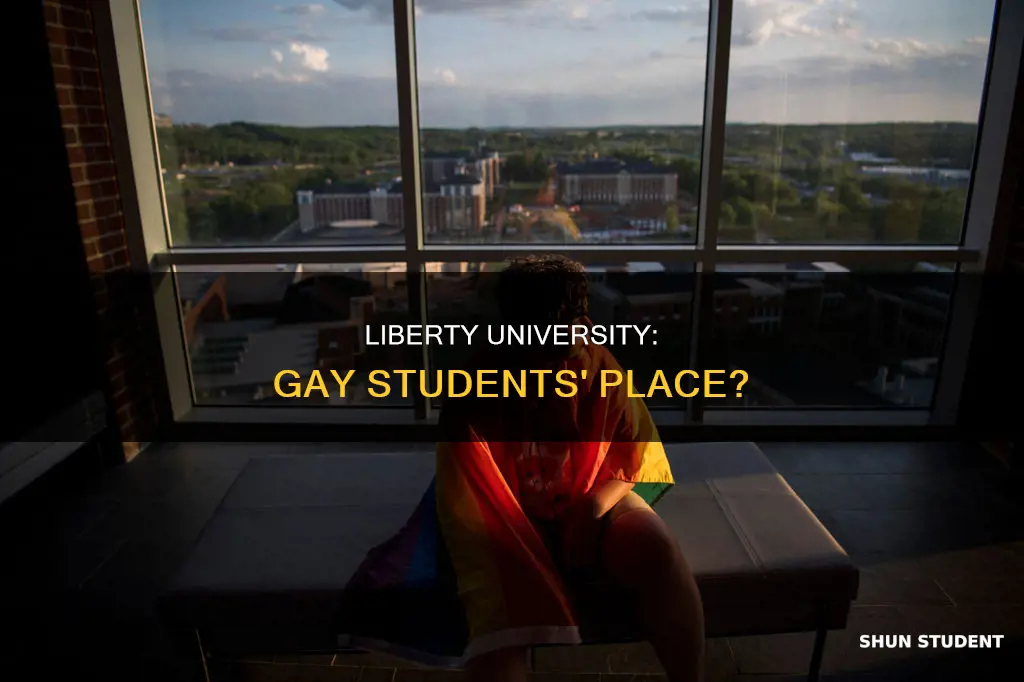 does liberty university allow gay students